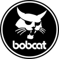 bobcat